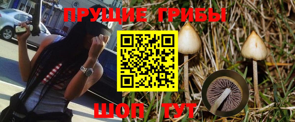 Галлюциногенные грибы GOLDEN TEACHER  Вход с VPN  Казань  Галлюциногенные грибы мицелий 